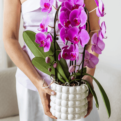 Kolibri Home | Poppy Ziertopf - White - Ø12cm 
