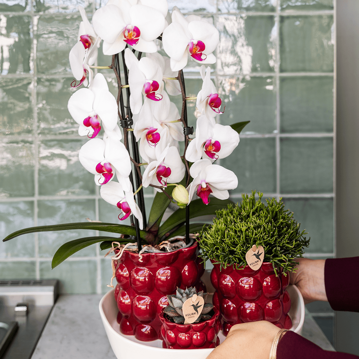 Kolibri Home | Cotton Shine Übertopf - Red - Ø12cm 