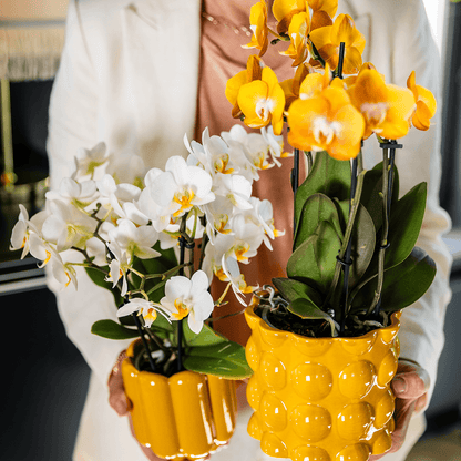 Kolibri Home | Cotton Shine Übertopf - Yellow - Ø12cm 
