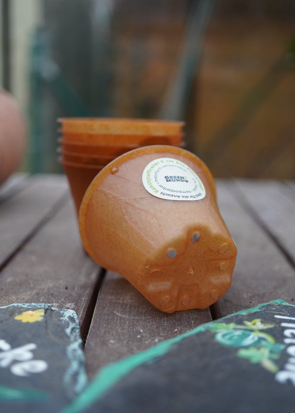 Bio Pflanztopf 6cm plastikfrei