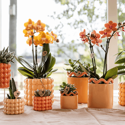 Kolibri Home | Poppy Ziertopf - Peach - Ø6cm 