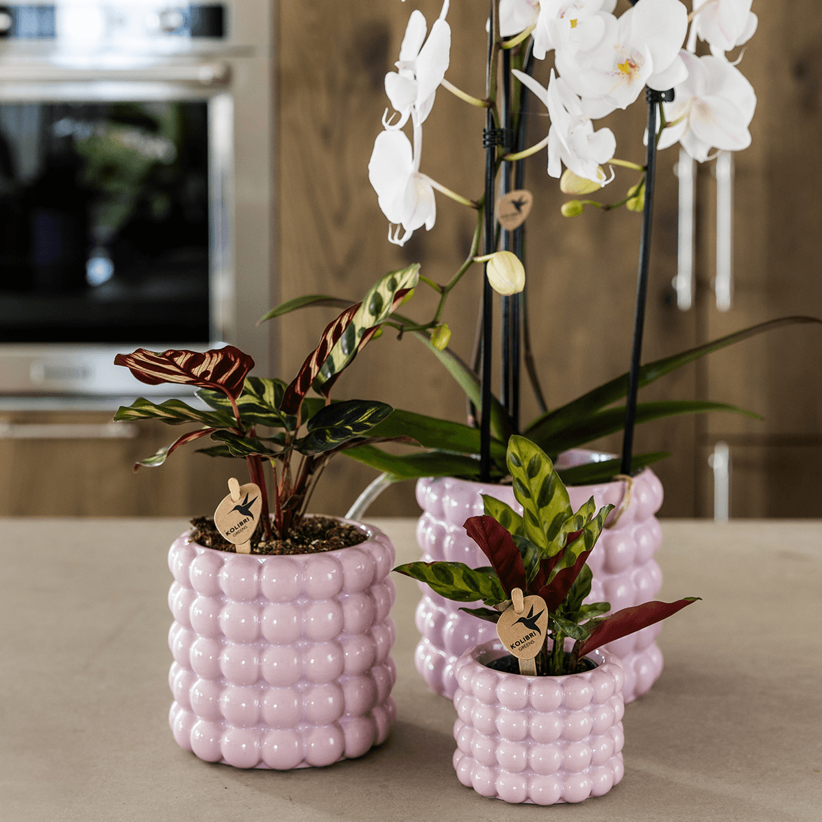 Kolibri Home | Poppy Ziertopf - Pink - Ø9cm 