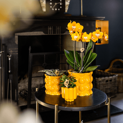 Kolibri Home | Retro Shine Übertopf - Yellow - Ø9cm 