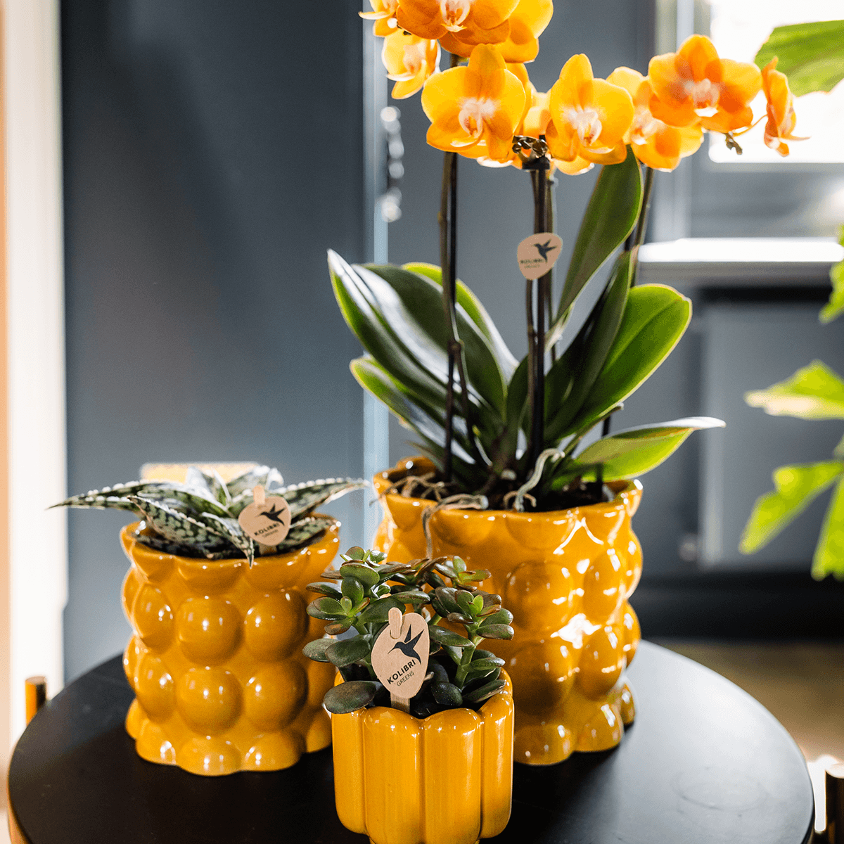 Kolibri Home | Retro Shine Übertopf - Yellow - Ø9cm 