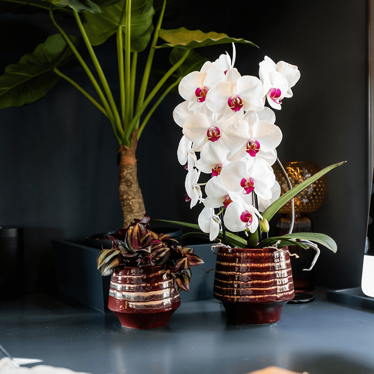 Kolibri Home | Moonstone Burgundy Übertopf - Ø9cm 