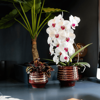 Kolibri Home | Moonstone Burgundy Übertopf - Ø9cm 