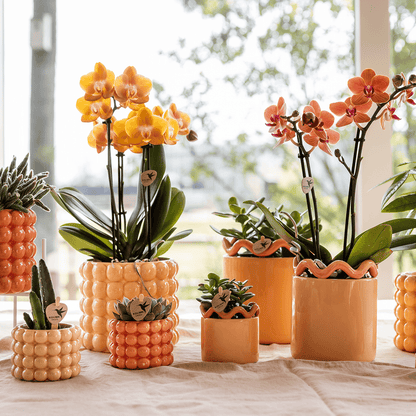 Kolibri Home | Poppy Ziertopf - Orange - Ø6cm 