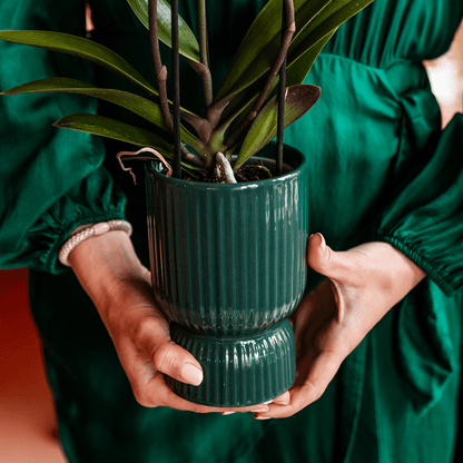 Kolibri Home | Diabolo-Ziertopf | Ø9cm - Green 