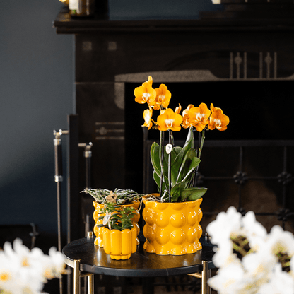Kolibri Home | Cotton Shine Übertopf - Yellow - Ø12cm 