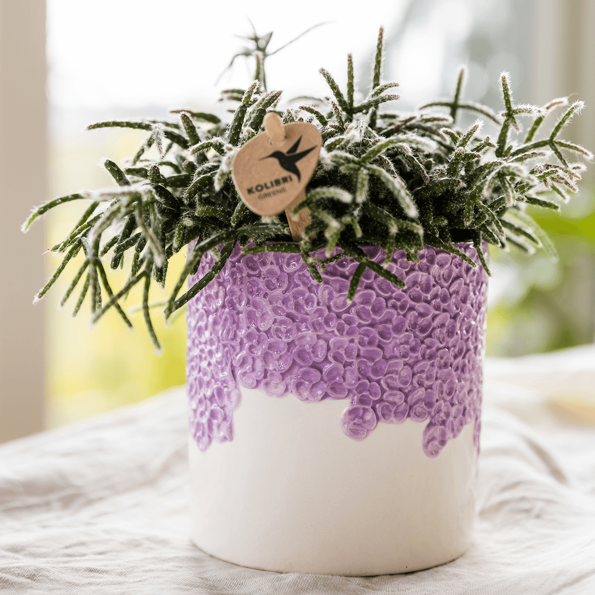 Kolibri Company | Kombi‑Deal | Bloom Lila Übertopf‑Set – 6 cm + 9 cm + 12 cm 