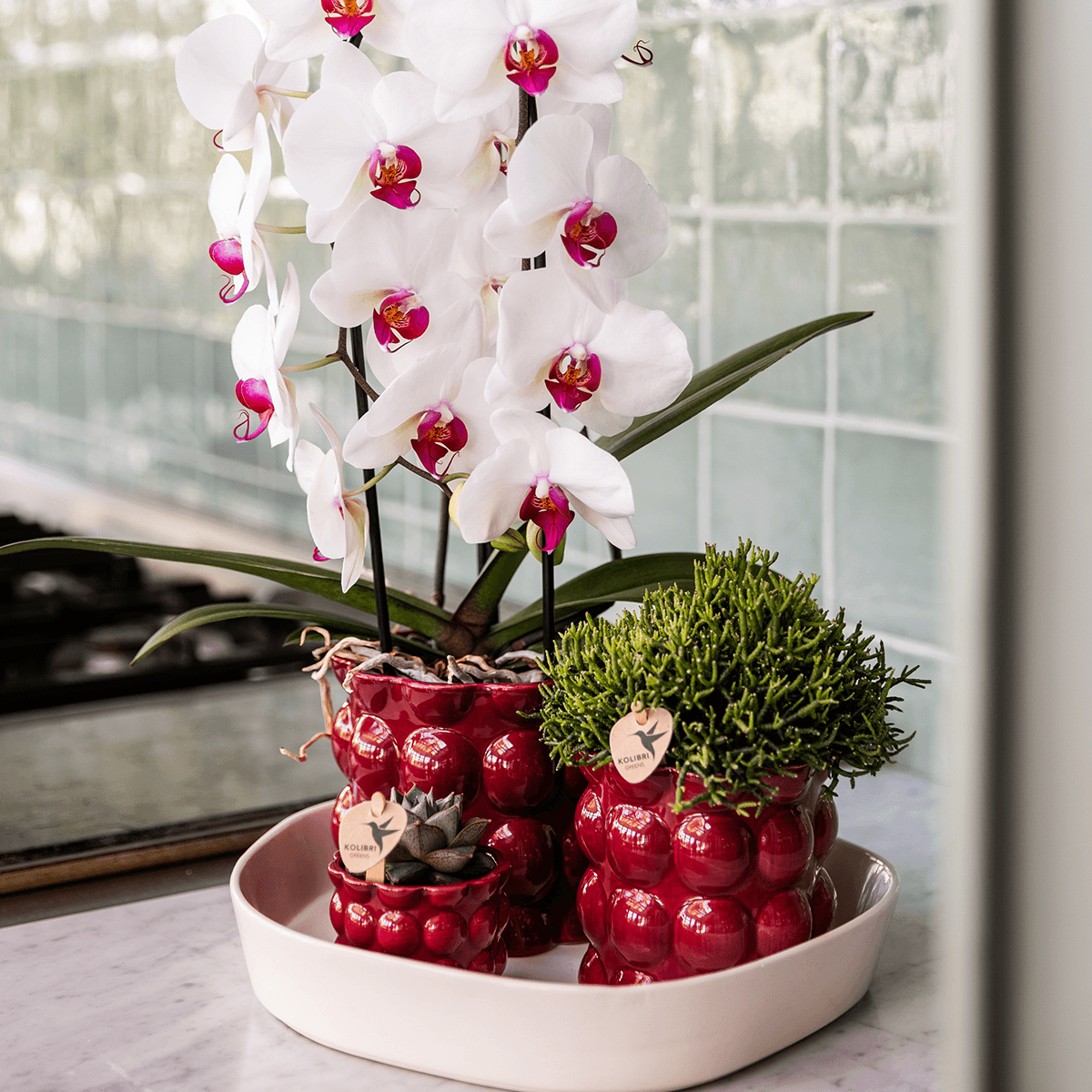 Kolibri Home | Cotton Shine Übertopf - Red - Ø12cm 