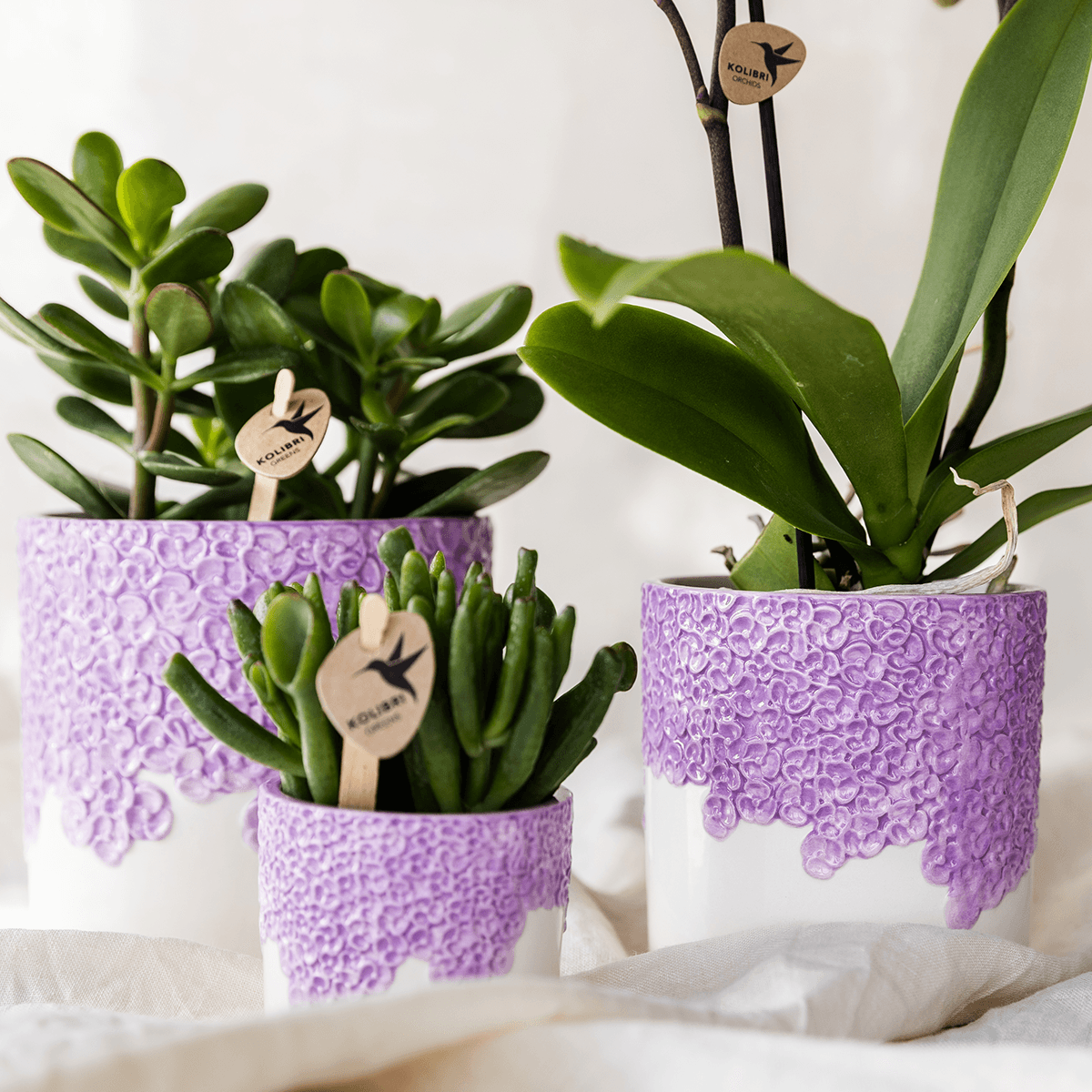 Kolibri Company | Kombi‑Deal | Bloom Lila Übertopf‑Set – 6 cm + 9 cm + 12 cm 