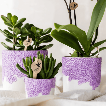 Kolibri Company | Kombi‑Deal | Bloom Lila Übertopf‑Set – 6 cm + 9 cm + 12 cm 