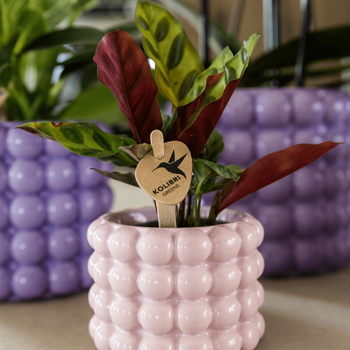 Kolibri Home | Poppy Ziertopf - Pink - Ø6cm 