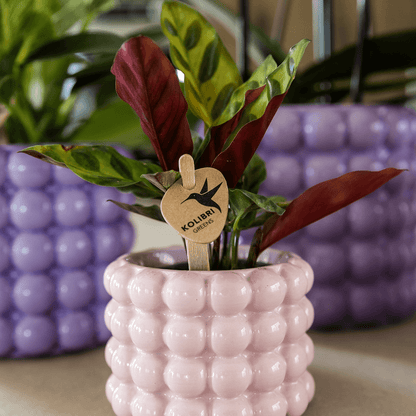 Kolibri Home | Poppy Ziertopf - Pink - Ø6cm 
