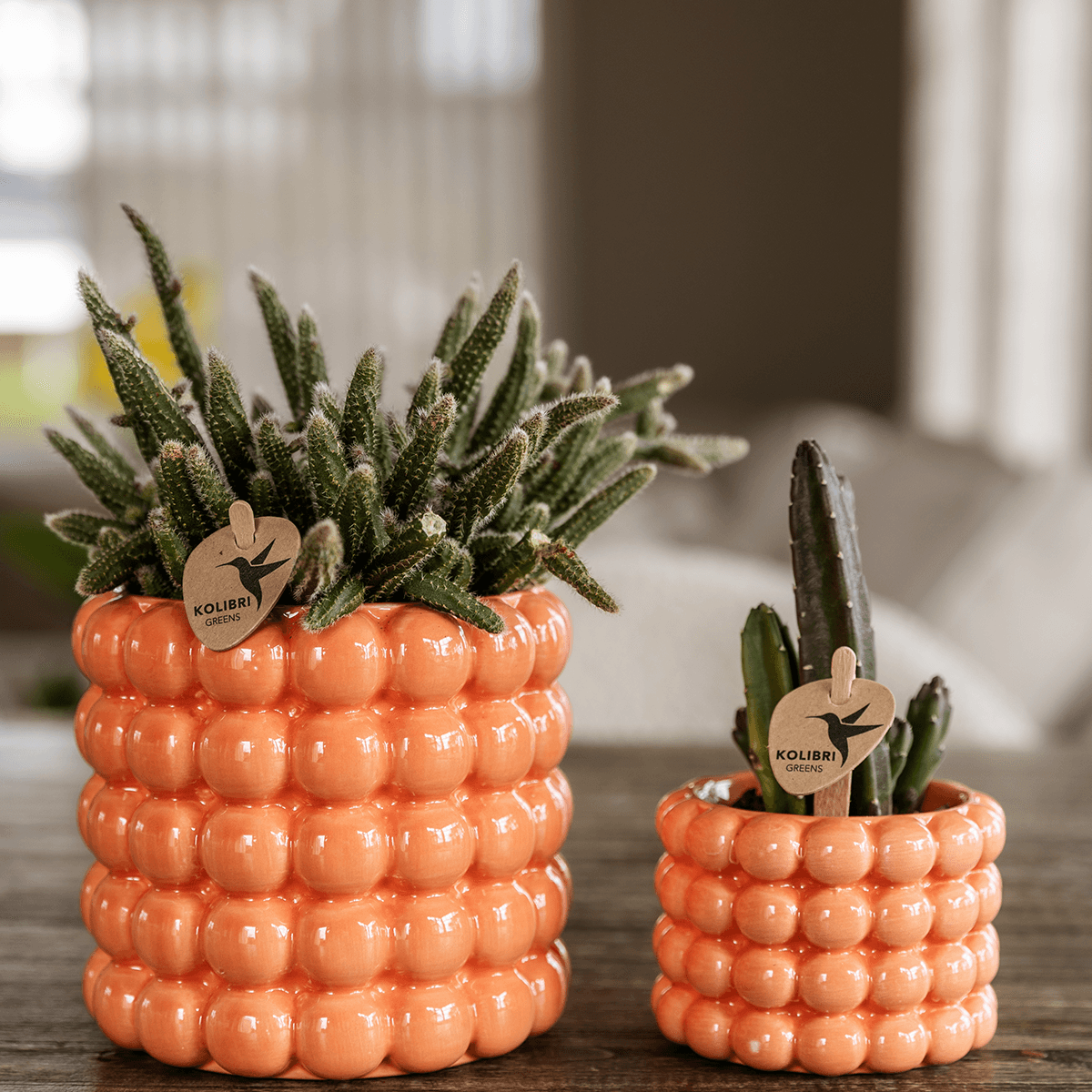 Kolibri Home | Poppy Ziertopf - Orange - Ø6cm 