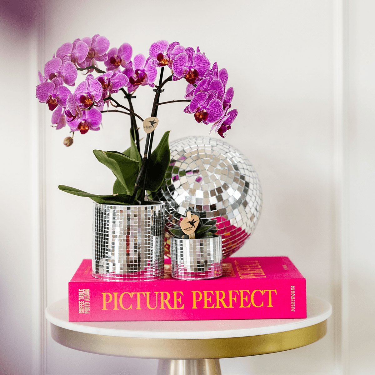 Kolibri Home | Disco sierpot - Ø6cm 