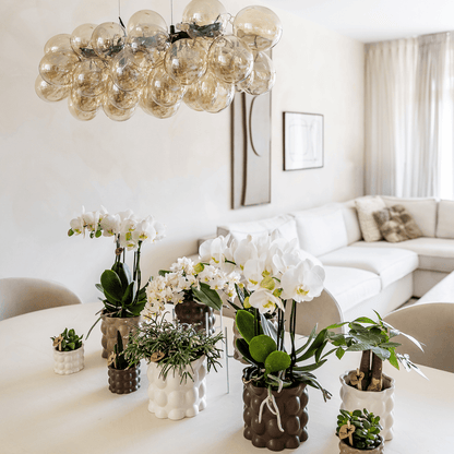 Kolibri Home | Cotton sierpot - White - Ø6cm 