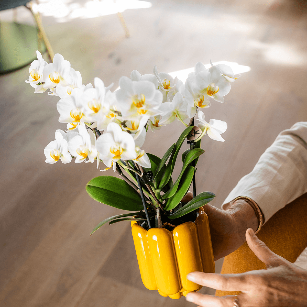 Kolibri Home | Retro Shine Übertopf - Yellow - Ø9cm 