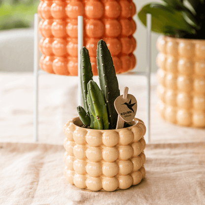 Kolibri Home | Poppy Ziertopf - Peach - Ø6cm 