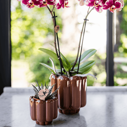 Kolibri Home | Retro Shine Übertopf - Brown - Ø6cm 