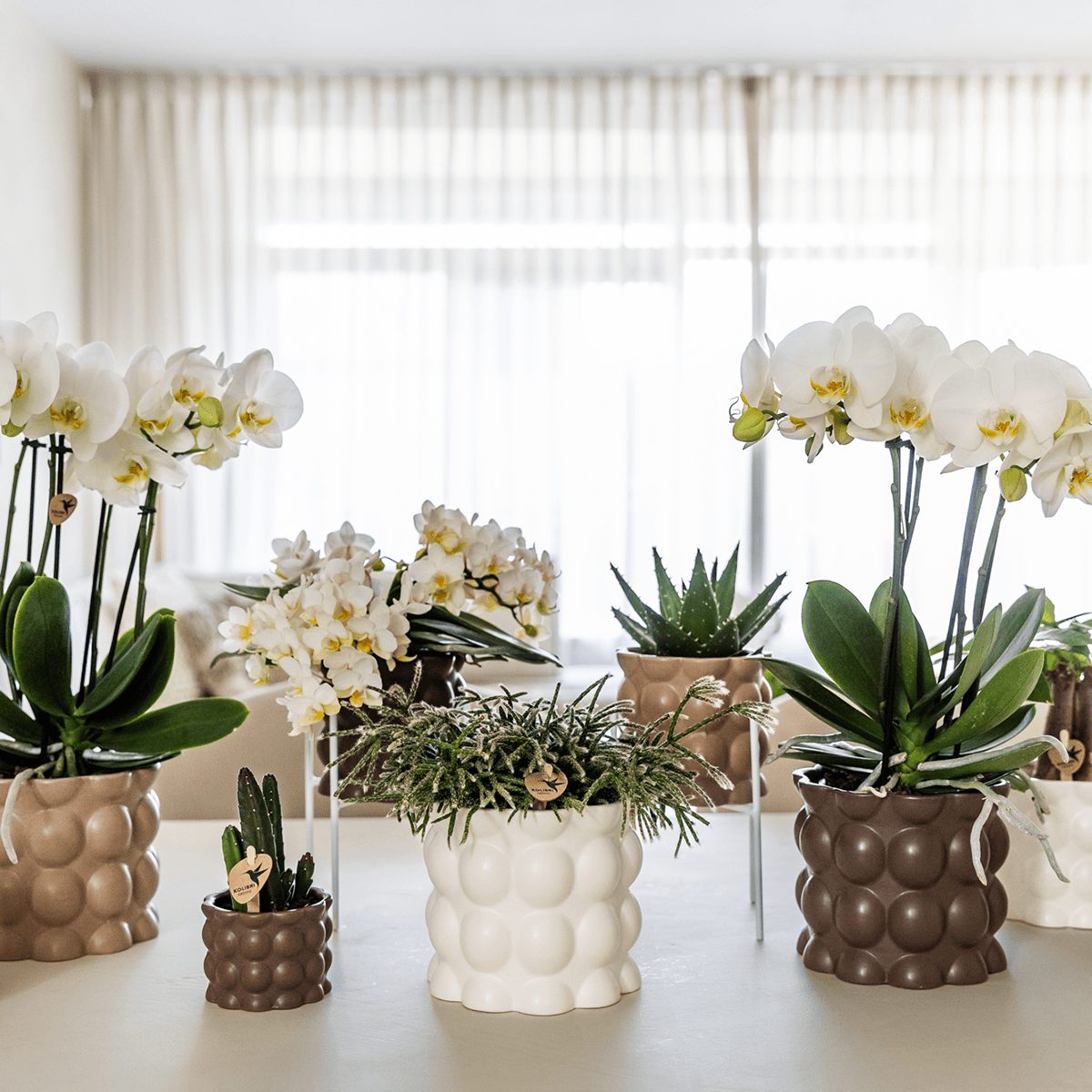 Kolibri Home | Cotton sierpot - White - Ø9cm 