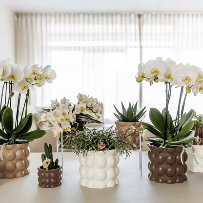 Kolibri Home | Cotton sierpot - White - Ø9cm 