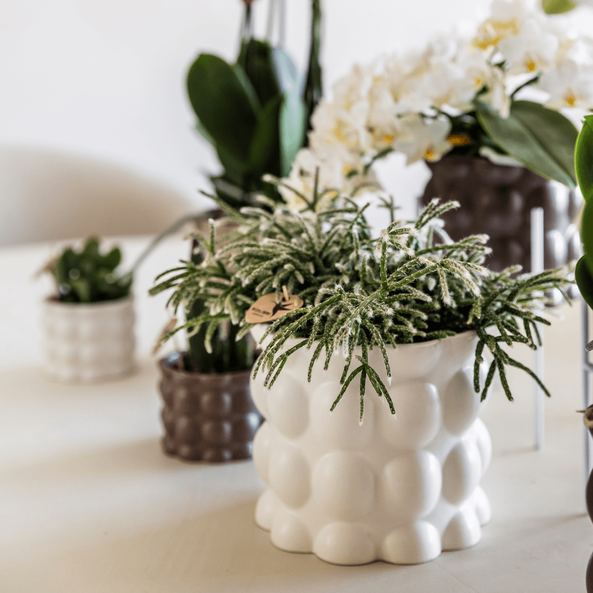 Kolibri Home | Cotton sierpot - White - Ø9cm 
