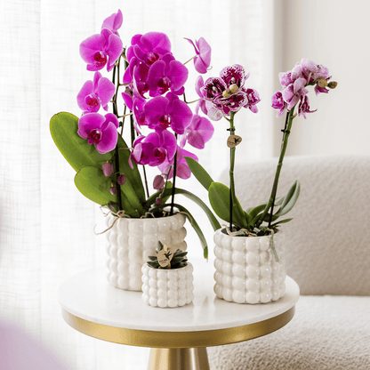 Kolibri Home | Poppy Ziertopf - White - Ø12cm 