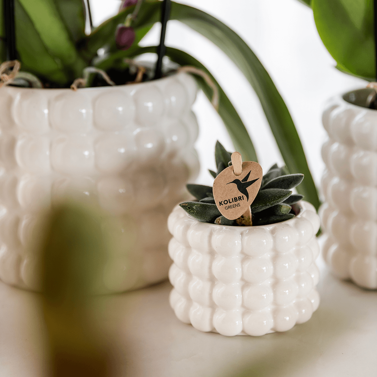 Kolibri Home | Poppy Ziertopf - White - Ø6cm 