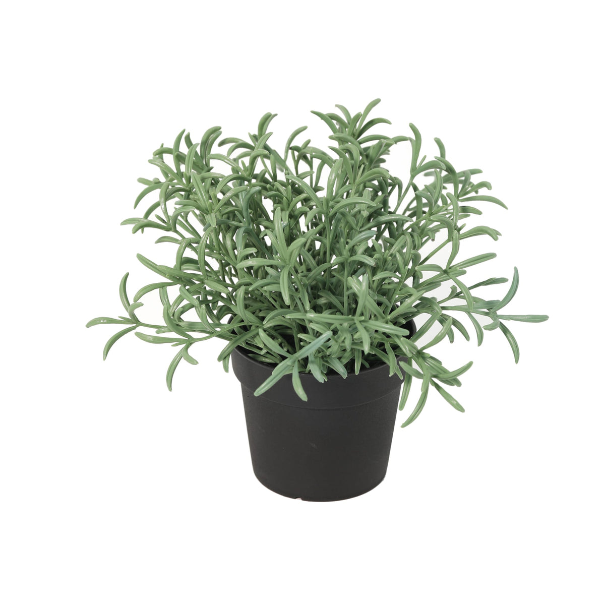 ARTIFICIAL Helichrysum italicum - 18cm 