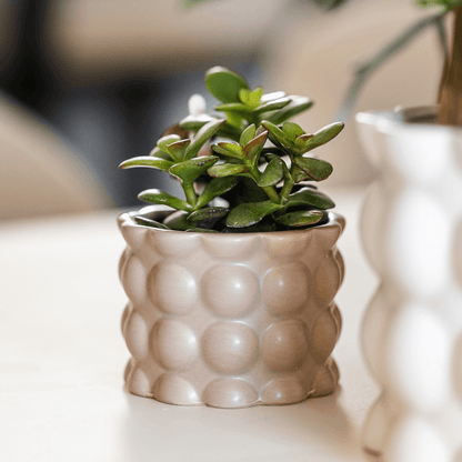 Kolibri Home | Cotton sierpot - Sand - Ø6cm 