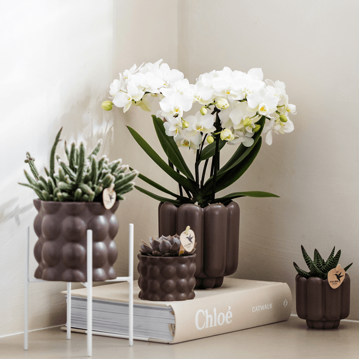 Kolibri Home | Cotton sierpot - Brown - Ø9cm 