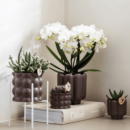 Kolibri Home | Cotton sierpot - Brown - Ø9cm 