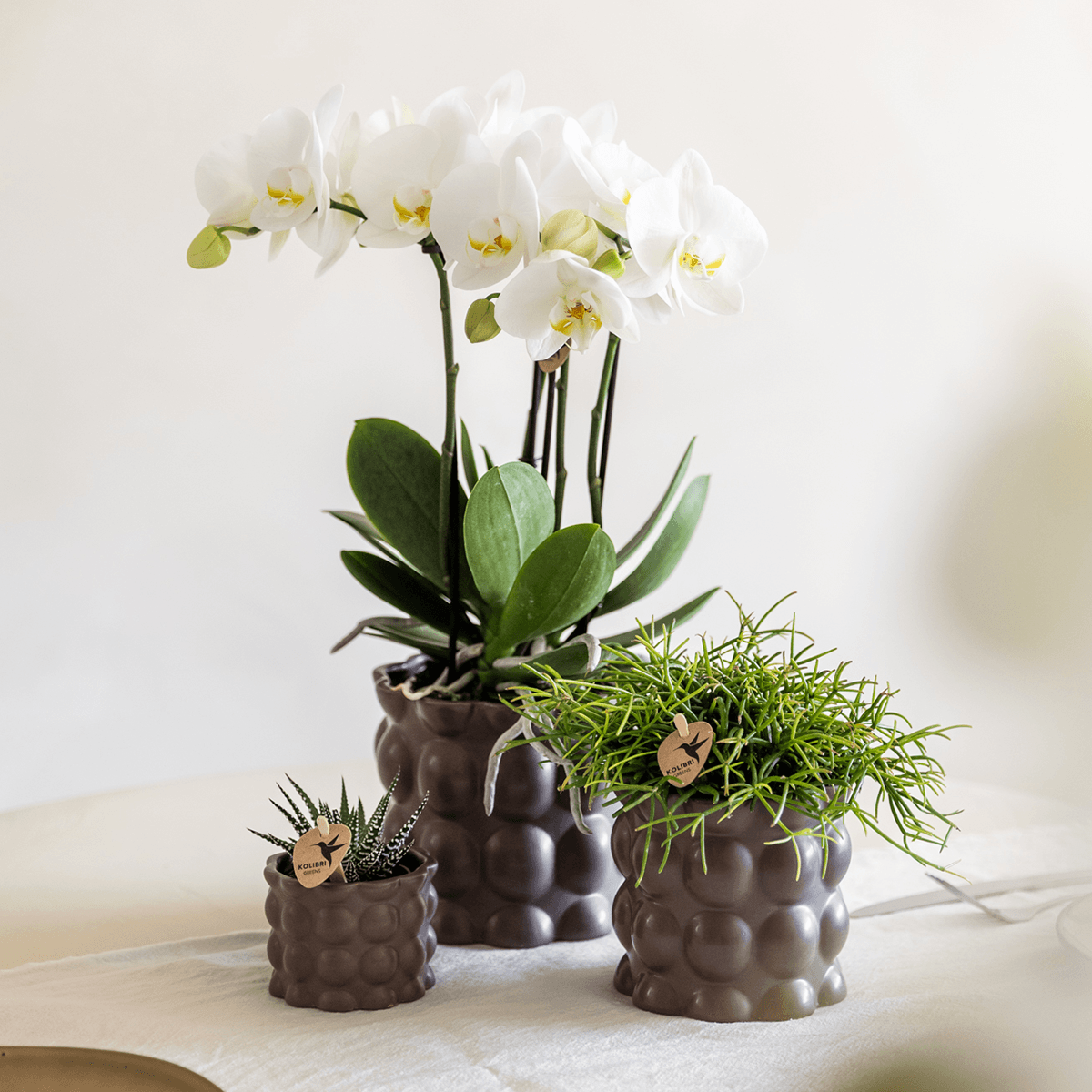 Kolibri Home | Cotton sierpot - Brown - Ø6cm 