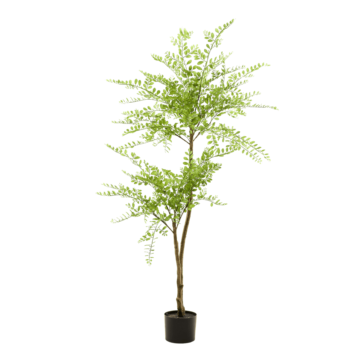 Kunstpflanze Sophorabaum – Honigbaum – 140cm – Pflegeleichter Deko-Baum für Zuhause & Büro – Realistischer Look – Ideal für Wohnräume 