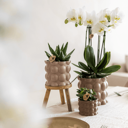 Kolibri Home | Cotton sierpot - Sand - Ø6cm 