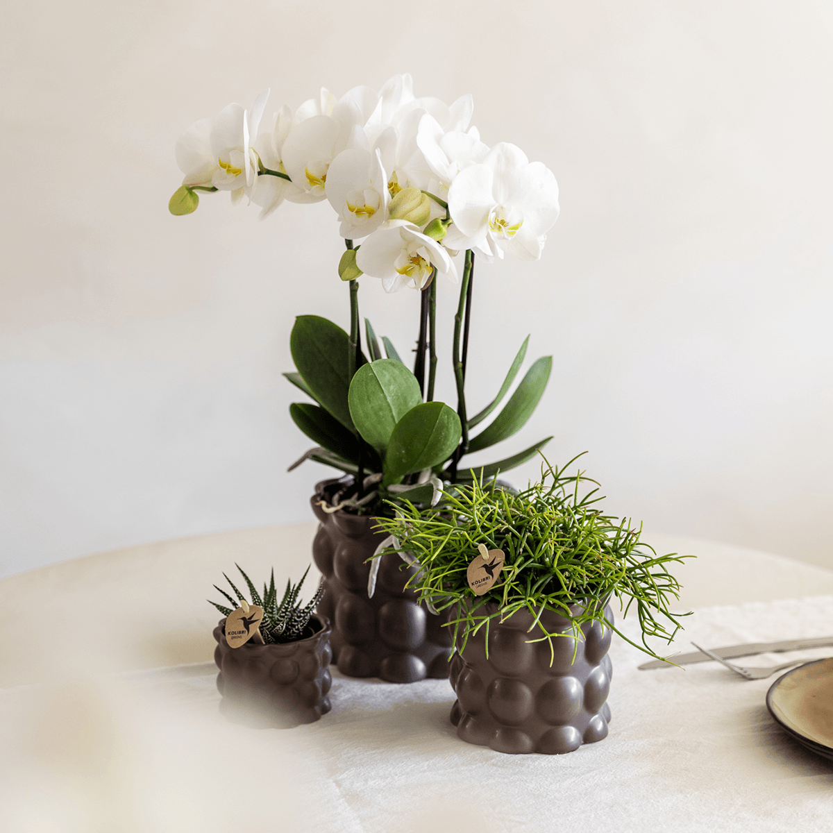 Kolibri Home | Cotton sierpot - Brown - Ø9cm 