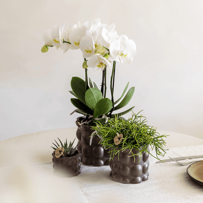 Kolibri Home | Cotton sierpot - Brown - Ø9cm 