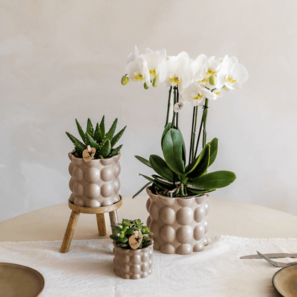 Kolibri Home | Cotton sierpot - Sand - Ø6cm 