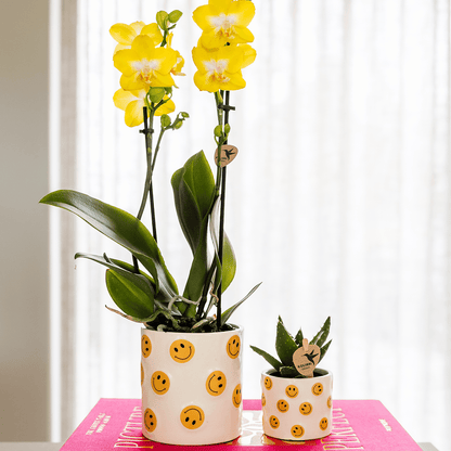 Kolibri Home | Smiley Übertopf - Ø6cm 