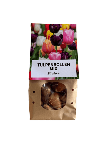 Tulpenzwiebeln Mix-Paket – 15 Beutel à 20 Zwiebeln – Insgesamt 300 Tulpenzwiebeln – Bunte Frühlingsblüher für Beet, Kübel & Vorgarten 
