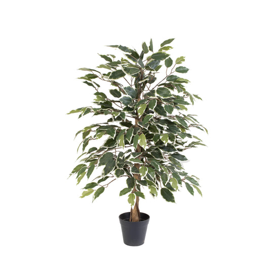 ARTIFICIAL Ficus benjamina variegata - 85cm 
