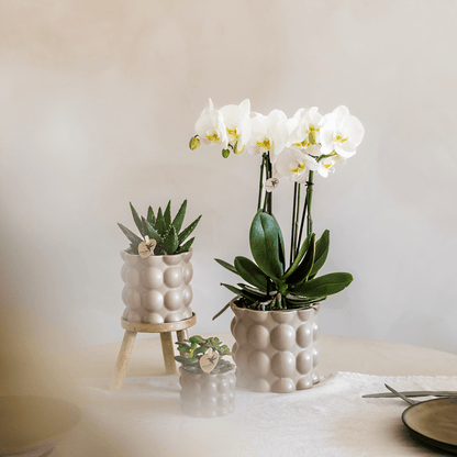 Kolibri Home | Cotton sierpot - Sand - Ø9cm 