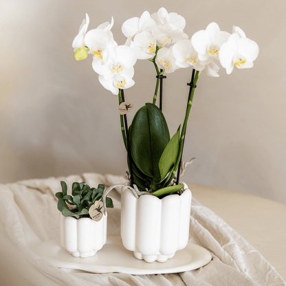 Kolibri Home | Retro-Ziertopf - White - Ø9cm 