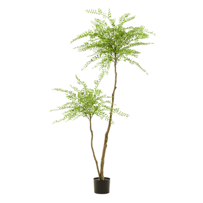 Kunstpflanze Sophora Baum – Honingbaum – 190 cm – Dekorativer Zimmerbaum – Pflegeleicht – Wohnzimmer, Büro & Flur 