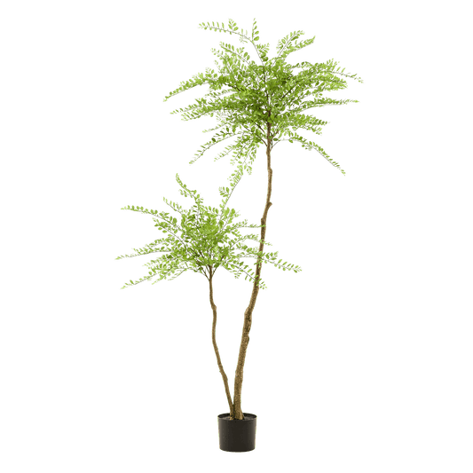 Kunstpflanze Sophora Baum – Honingbaum – 190 cm – Dekorativer Zimmerbaum – Pflegeleicht – Wohnzimmer, Büro & Flur 