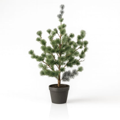 Zeder-Kiefer 80cm – Künstliche Pflanze – Realistische Cedar Pine Optik – Immergrün & pflegefrei – Winter- & Weihnachtsdeko für Wohnzimmer Büro Flur 
