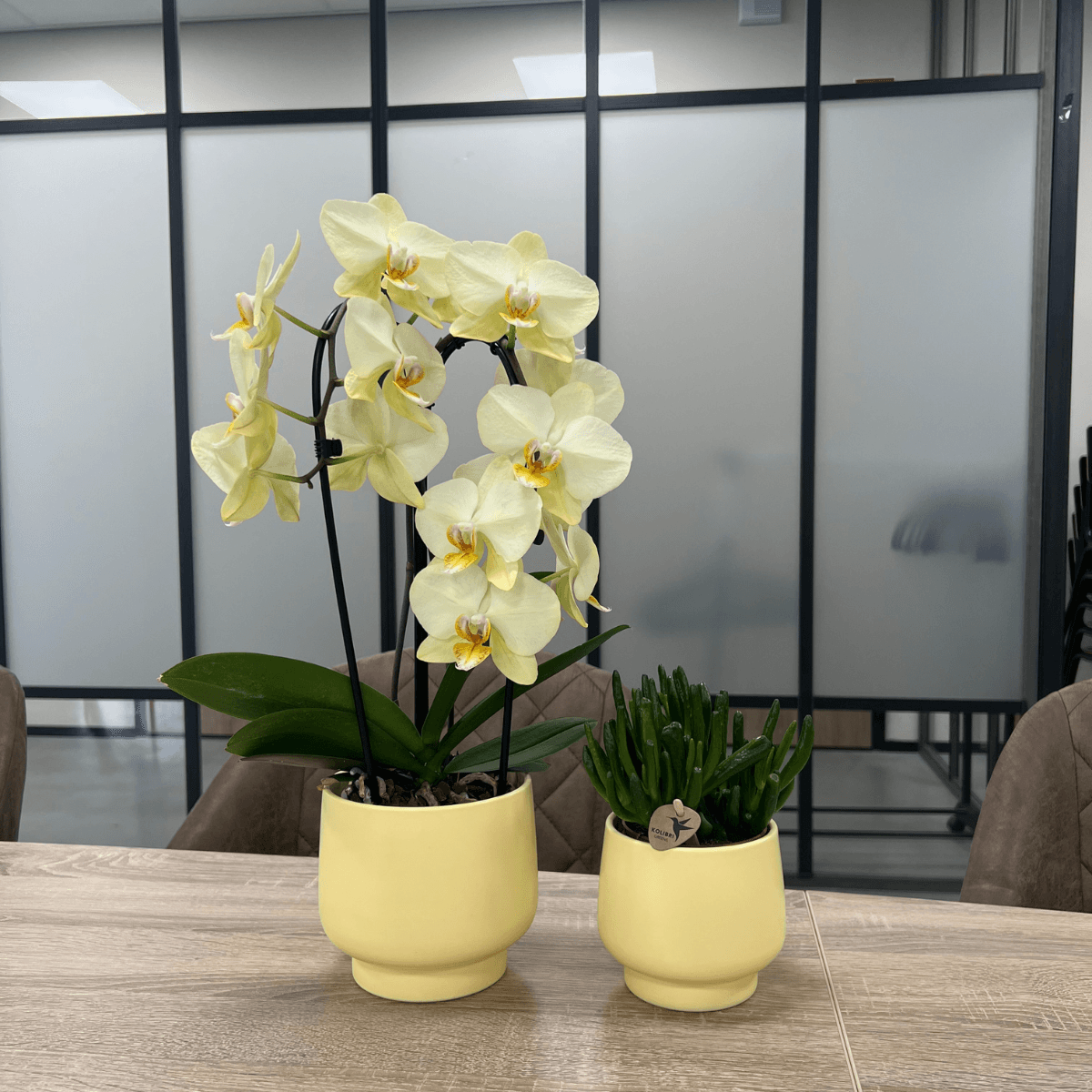 Scandic Blumentopf  - Yellow - ⌀9cm 