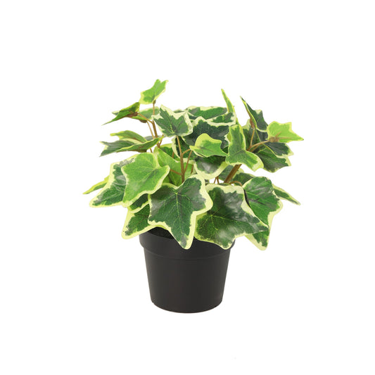 ARTIFICIAL White Ivy - 19cm 